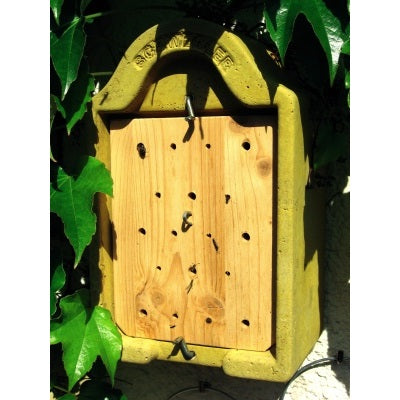 Nichoir à insectes pour l'observation