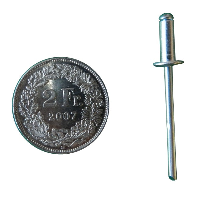 Rivetti a strappo 4,0x10x8mm 20 pezzi