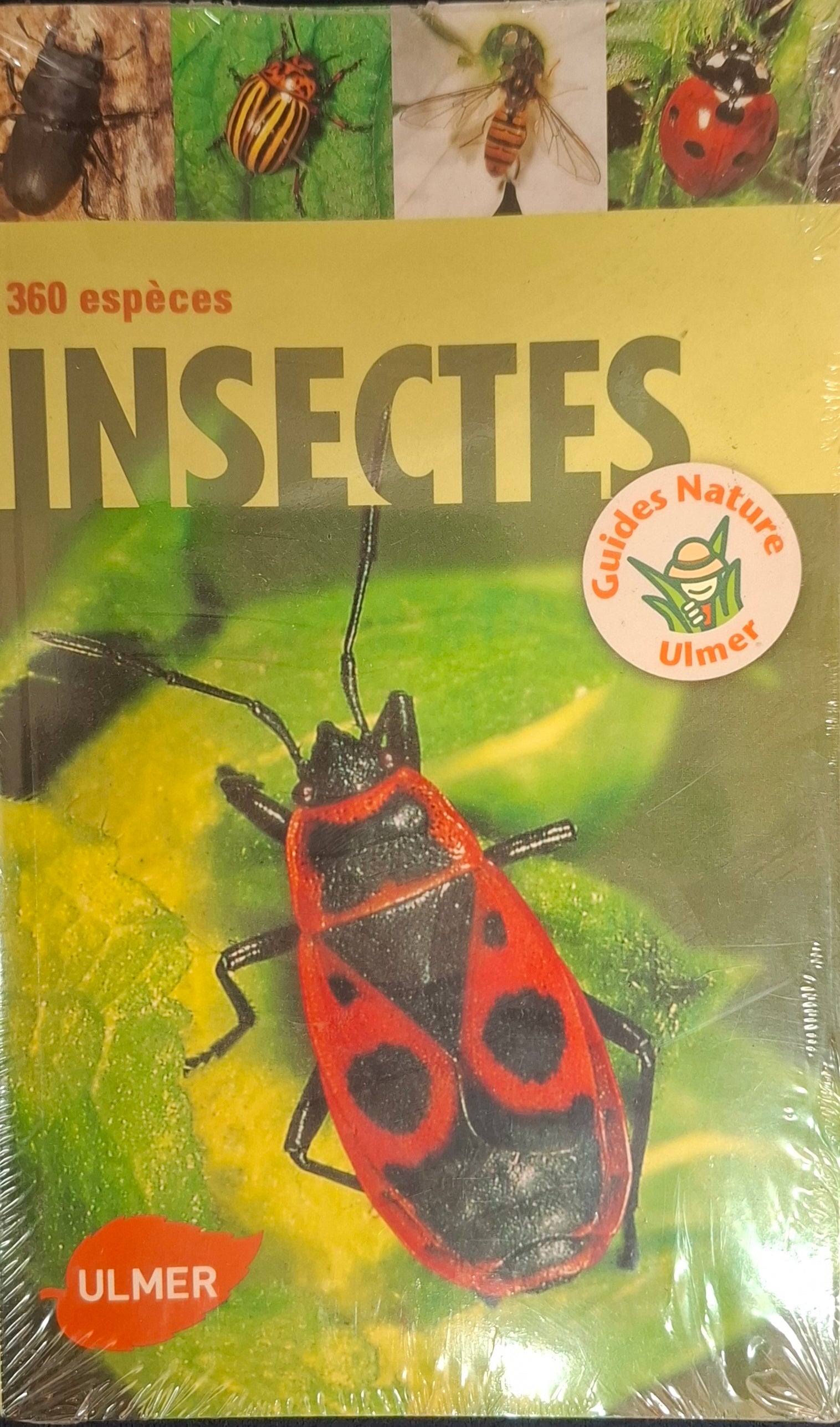 Insectes - 360 espèces