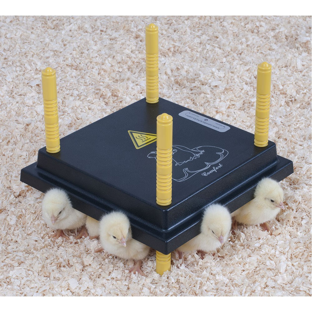 Plaque chauffante confort pour poussins