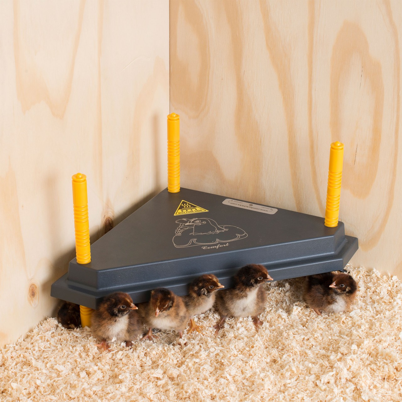 Plaque chauffante confort pour poussins