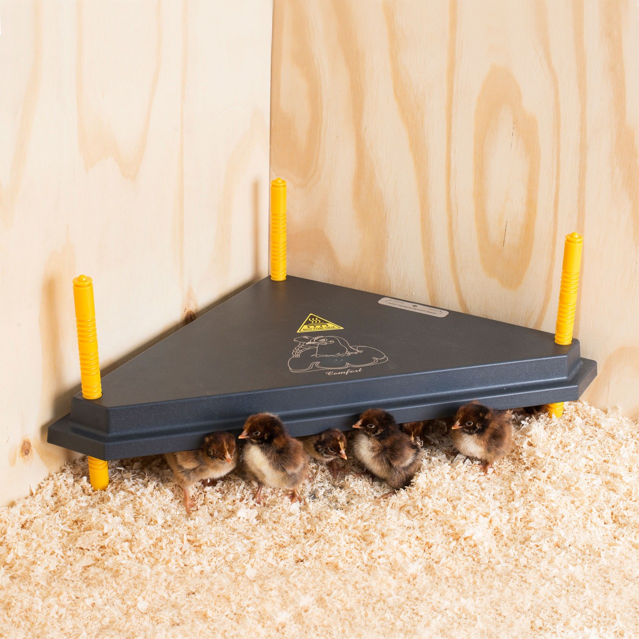 Plaque chauffante confort pour poussins
