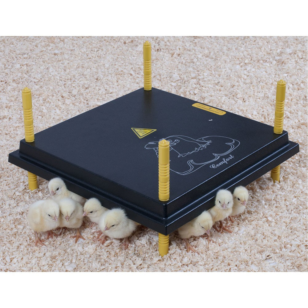 Plaque chauffante confort pour poussins