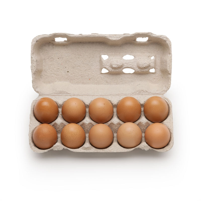 Boîtes à œufs de 10 pièces pour œufs de poule 4250 pièces