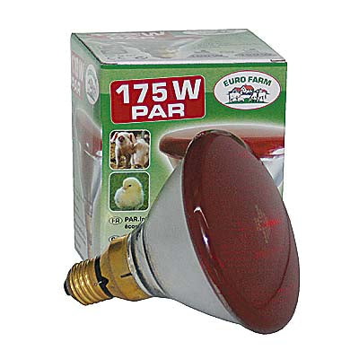 Lampe infrarouge à économie d'énergie Kerbl 175 watts