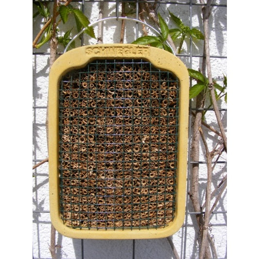Mur de nidification d'insectes avec des roseaux naturels